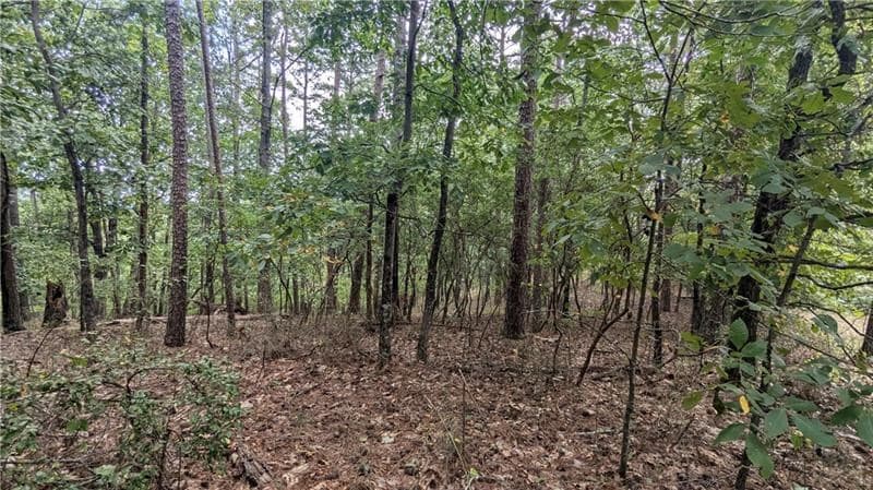 278 Adair Drive, Talking Rock GA 30734 - Photo