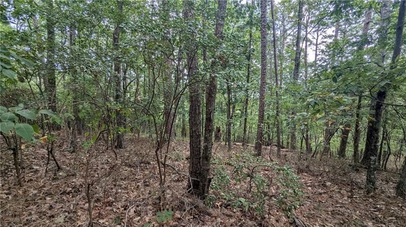 278 Adair Drive, Talking Rock GA 30734 - Photo