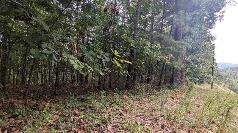 278 Adair Drive, Talking Rock GA 30734 - Photo