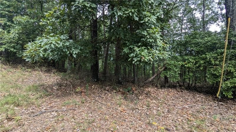 278 Adair Drive, Talking Rock GA 30734 - Photo