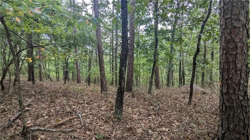 278 Adair Drive, Talking Rock GA 30734 - Photo