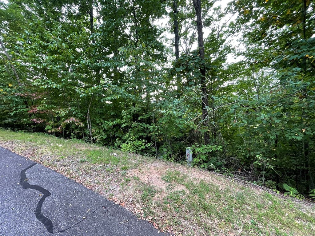 Lot 32 J Mountain Harbour Lot, Hayesville SC 29804 - Photo