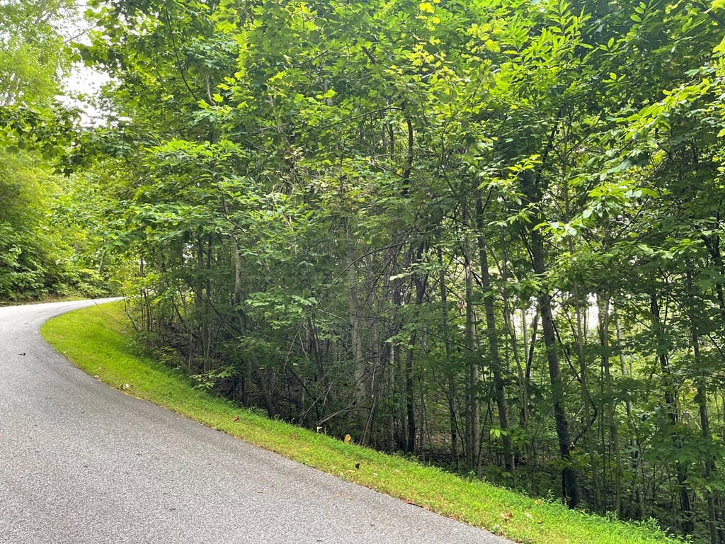 Lot 32 J Mountain Harbour Lot, Hayesville SC 29804 - Photo