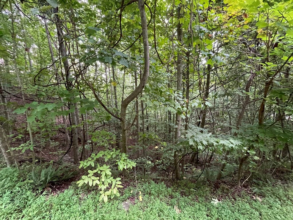 Lot 32 J Mountain Harbour Lot, Hayesville SC 29804 - Photo