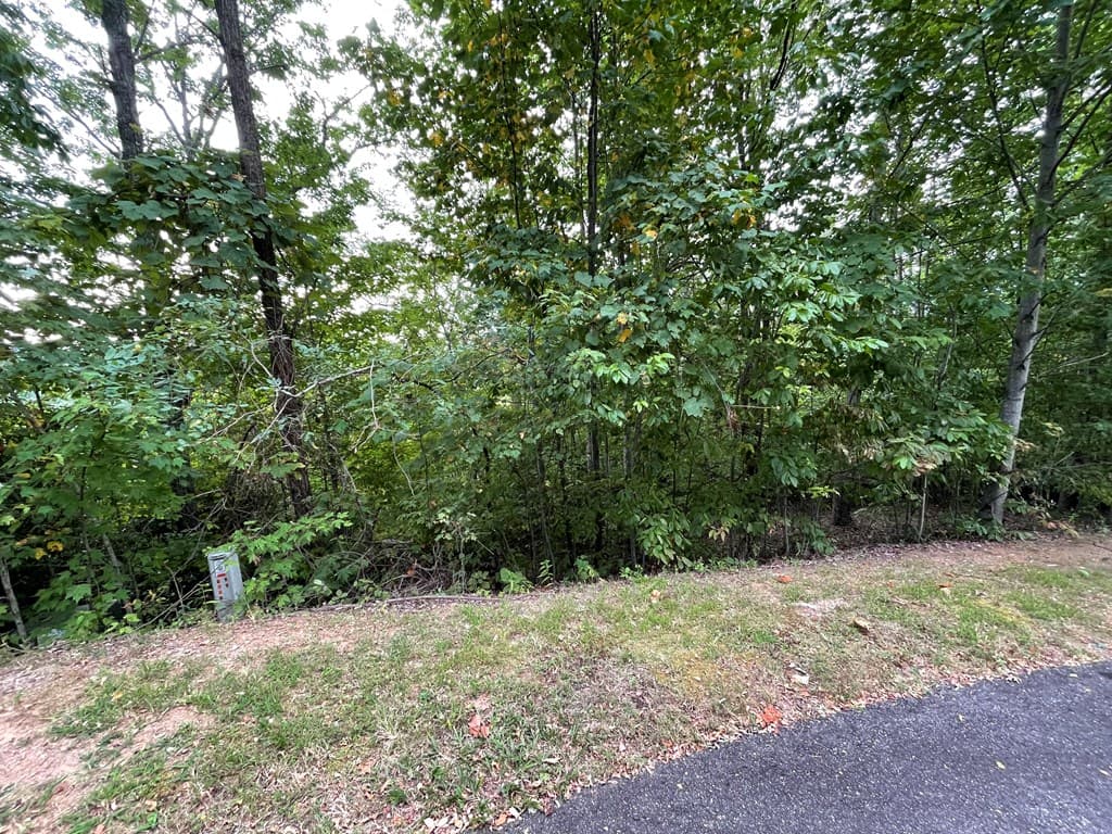 Lot 32 J Mountain Harbour Lot, Hayesville SC 29804 - Photo
