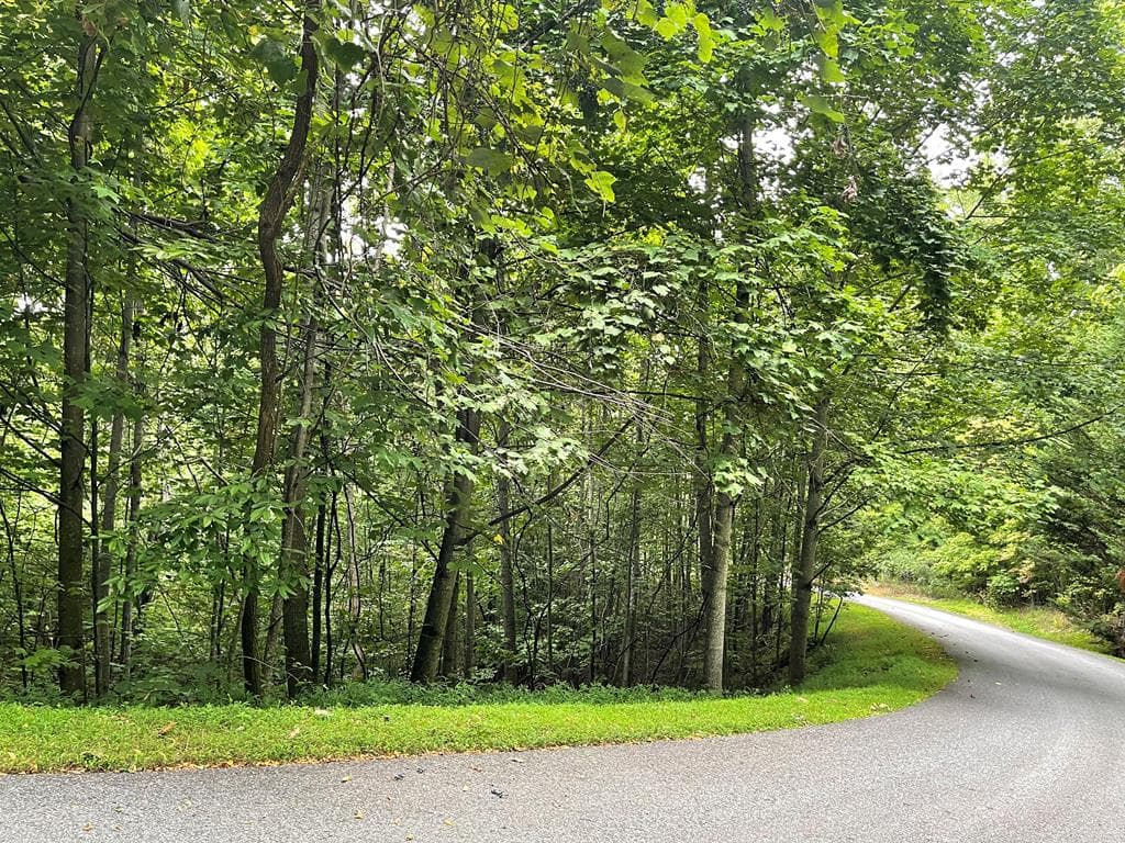Lot 32 J Mountain Harbour Lot, Hayesville SC 29804 - Primary photo