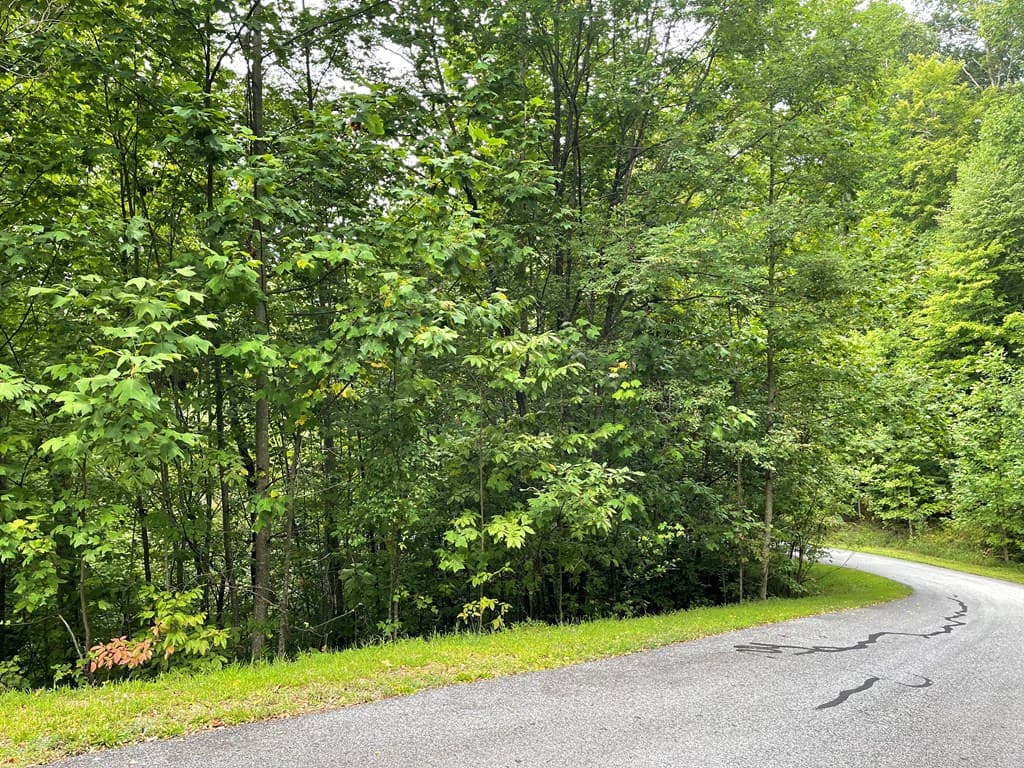 Lot 32 J Mountain Harbour Lot, Hayesville SC 29804 - Photo