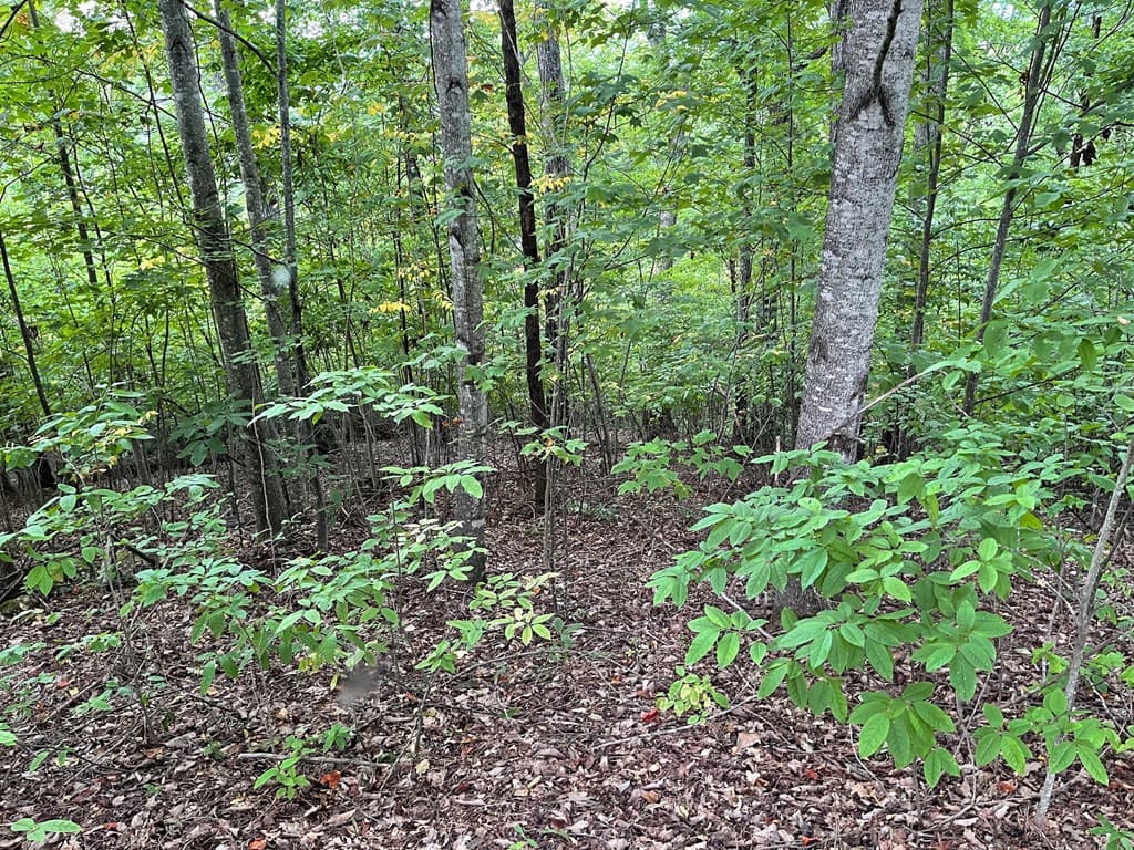 Lot 32 J Mountain Harbour Lot, Hayesville SC 29804 - Photo
