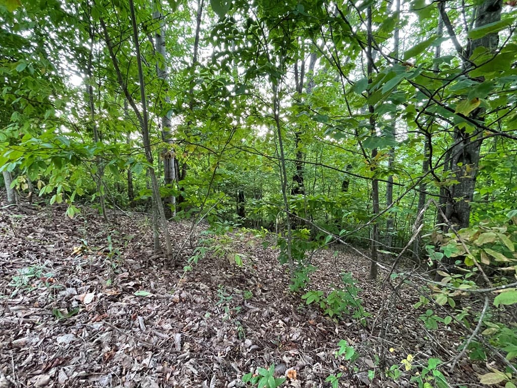 Lot 32 J Mountain Harbour Lot, Hayesville SC 29804 - Photo