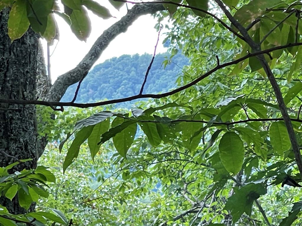 Lot 32 J Mountain Harbour Lot, Hayesville SC 29804 - Photo