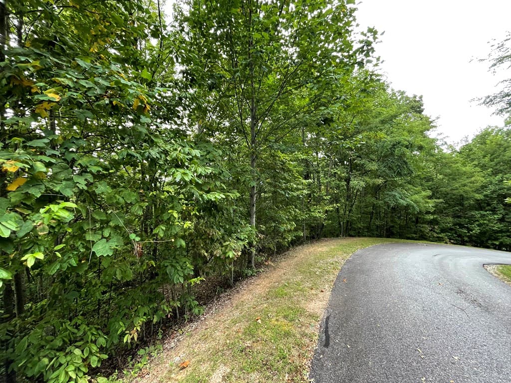 Lot 32 J Mountain Harbour Lot, Hayesville SC 29804 - Photo