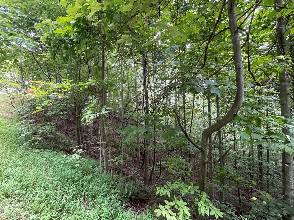 Lot 32 J Mountain Harbour Lot, Hayesville SC 29804 - Photo