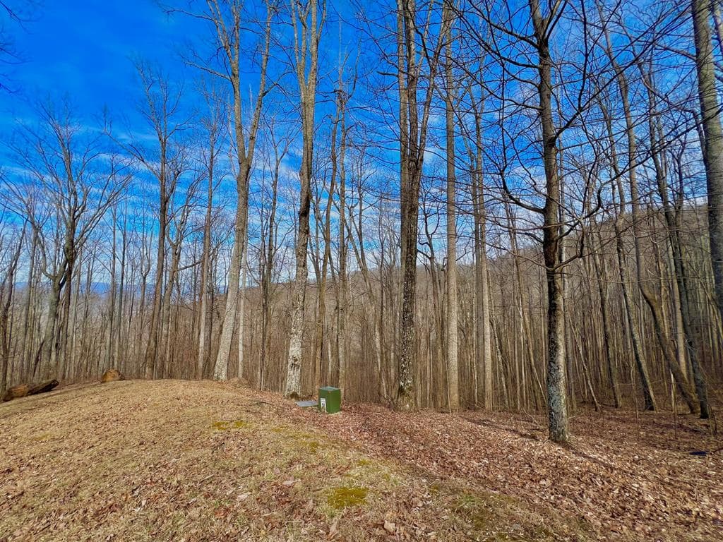 57 Rocky Knob Estates, Young Harris GA 30582 - Photo