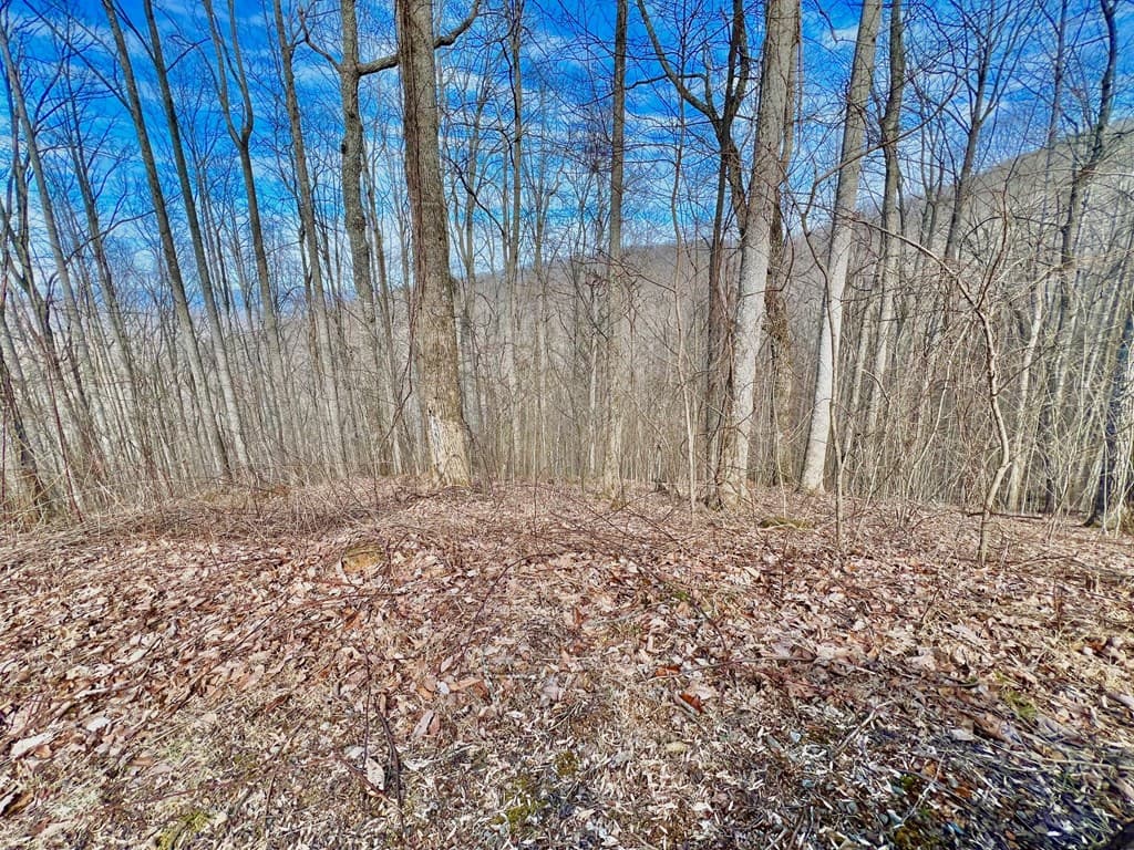 57 Rocky Knob Estates, Young Harris GA 30582 - Photo