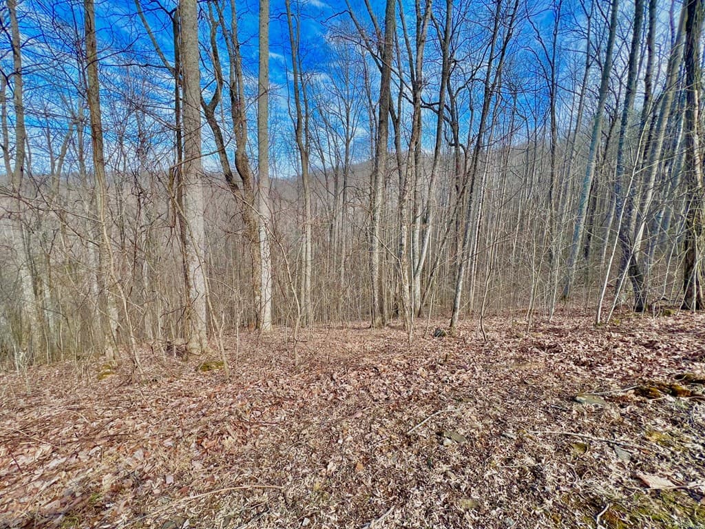 57 Rocky Knob Estates, Young Harris GA 30582 - Photo