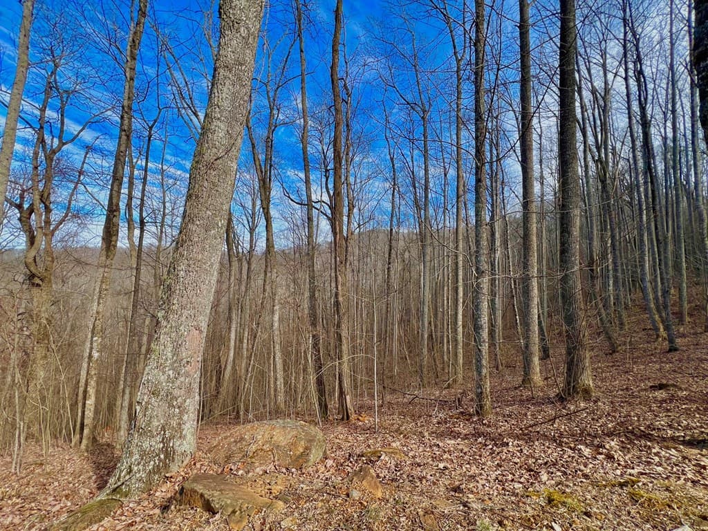 57 Rocky Knob Estates, Young Harris GA 30582 - Photo