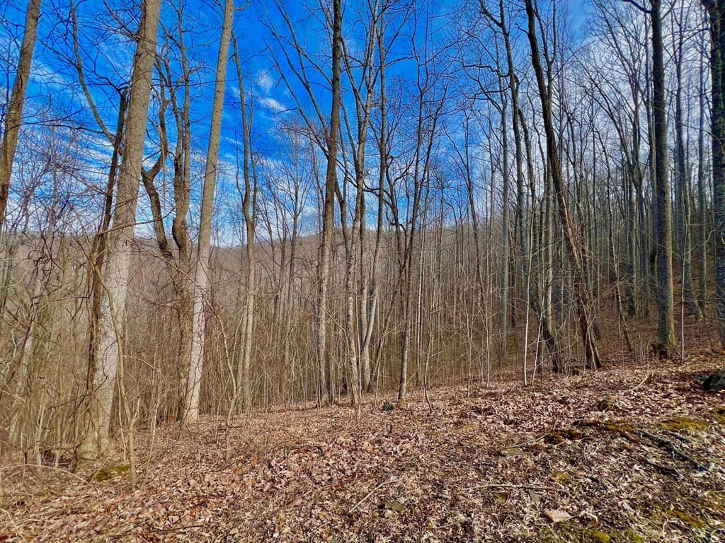 57 Rocky Knob Estates, Young Harris GA 30582 - Photo