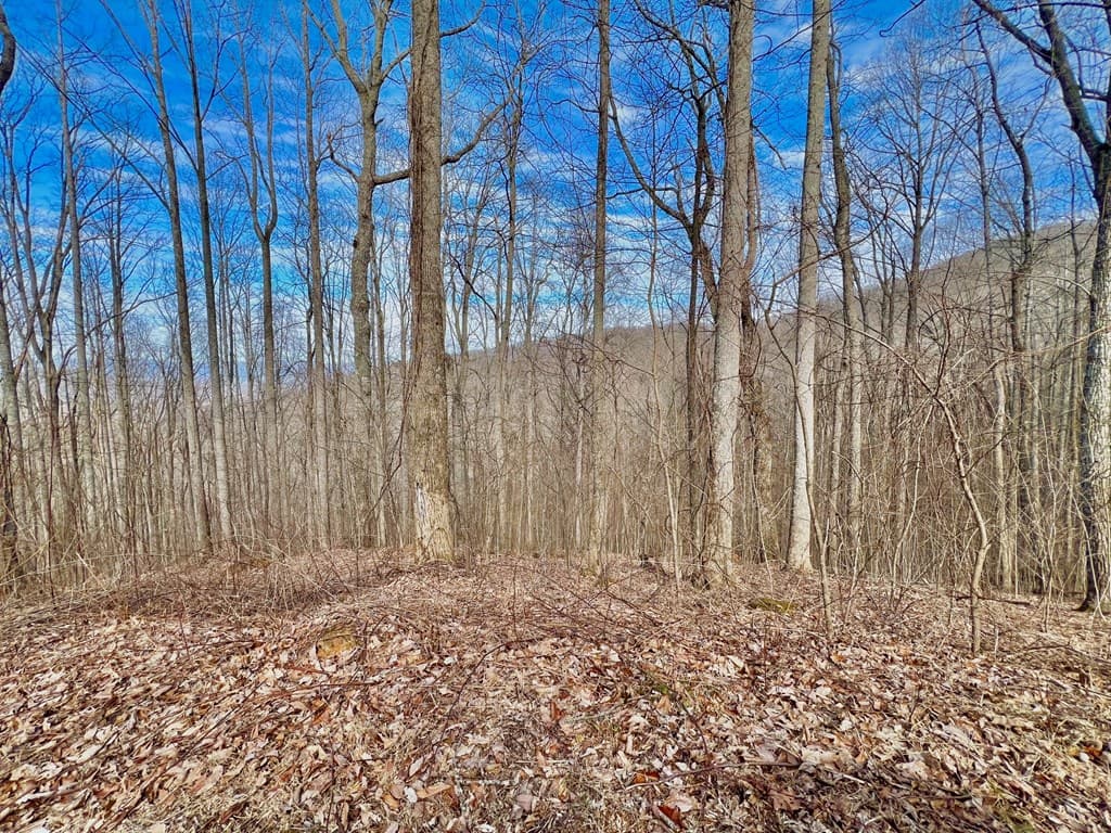 57 Rocky Knob Estates, Young Harris GA 30582 - Photo