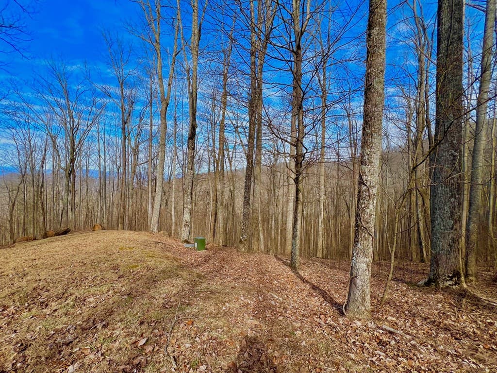 57 Rocky Knob Estates, Young Harris GA 30582 - Photo