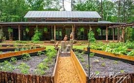 Lot 34 Lt 34 Utana Bluffs, East Ellijay GA 30540 - Photo