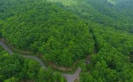 Lot 34 Lt 34 Utana Bluffs, East Ellijay GA 30540 - Photo
