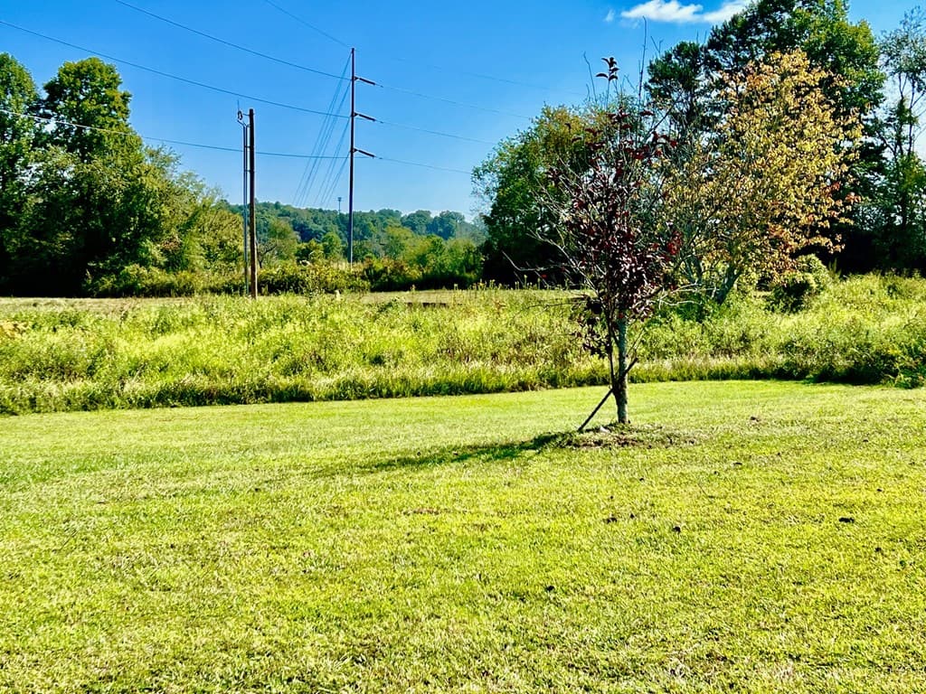 136 Mountain Meadows Circle, Morganton GA 30560 - Photo