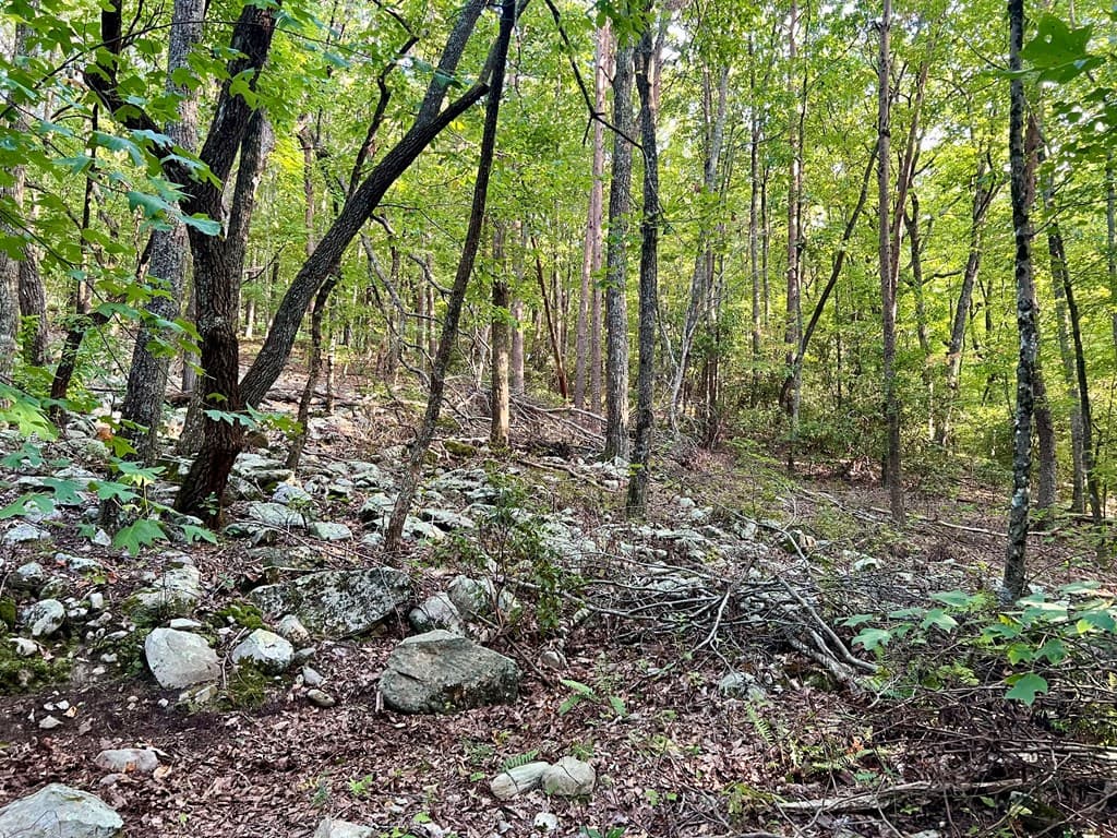 0 Mulberry Circle, Jasper GA 30143 - Photo
