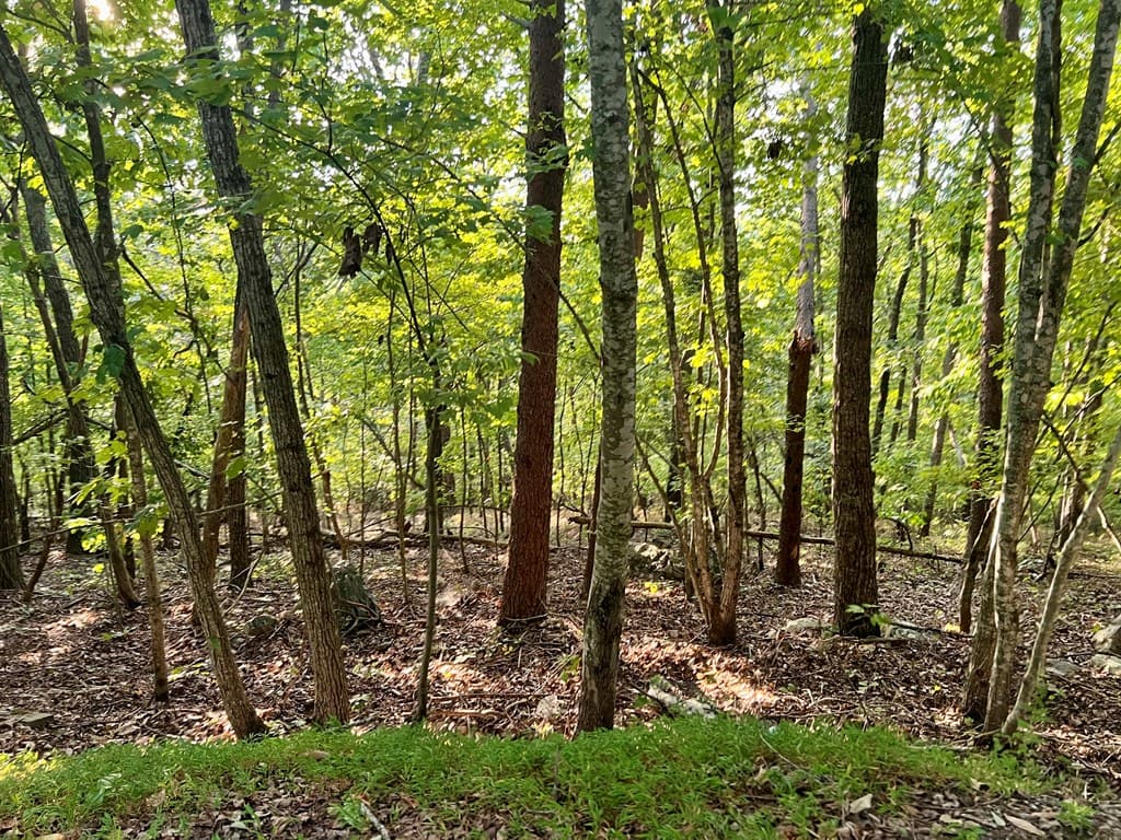 0 Mulberry Circle, Jasper GA 30143 - Photo