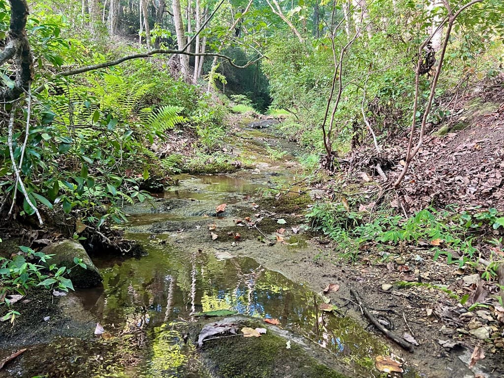 0 Mulberry Circle, Jasper GA 30143 - Photo