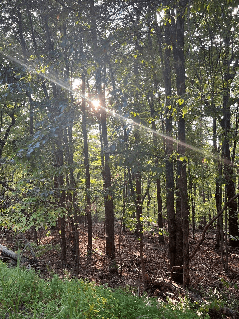 0 Mulberry Circle, Jasper GA 30143 - Photo