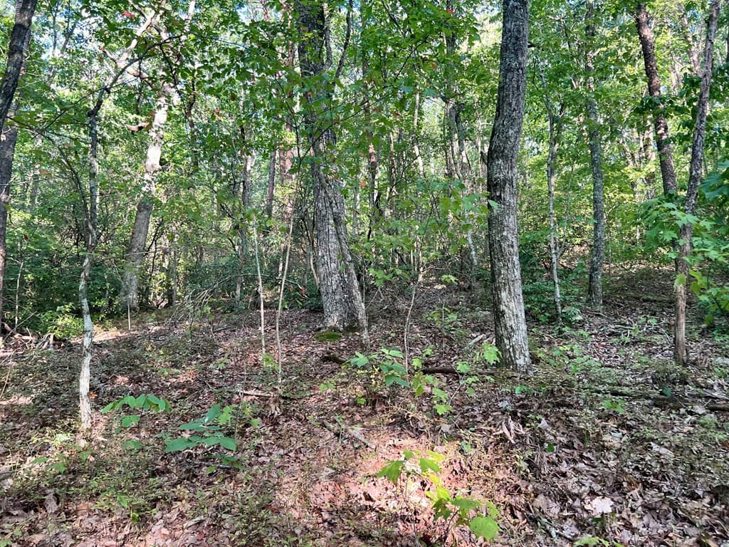 0 Mulberry Circle, Jasper GA 30143 - Photo