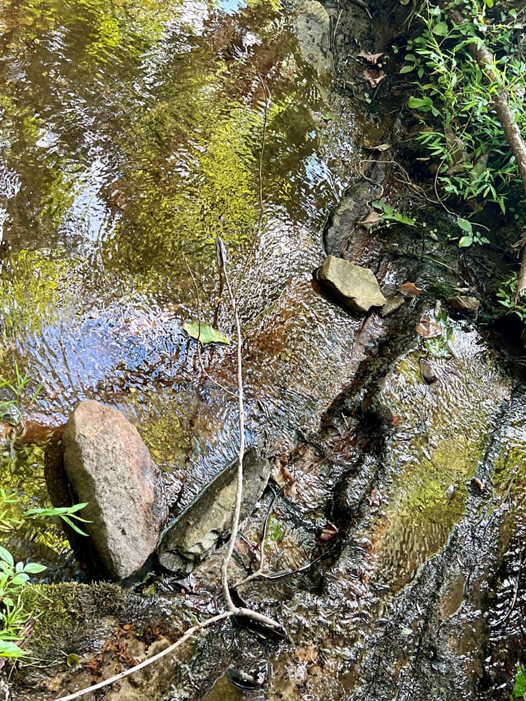 0 Mulberry Circle, Jasper GA 30143 - Photo