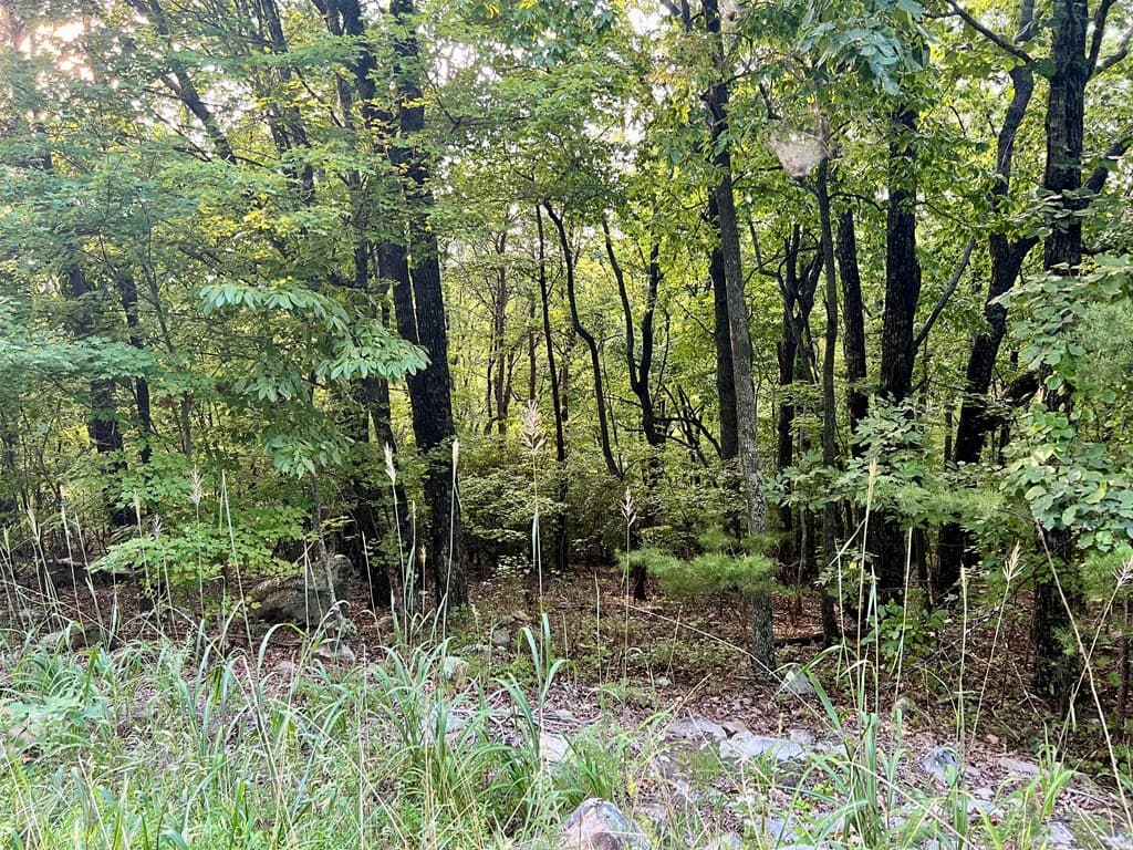 0 Mulberry Circle, Jasper GA 30143 - Photo