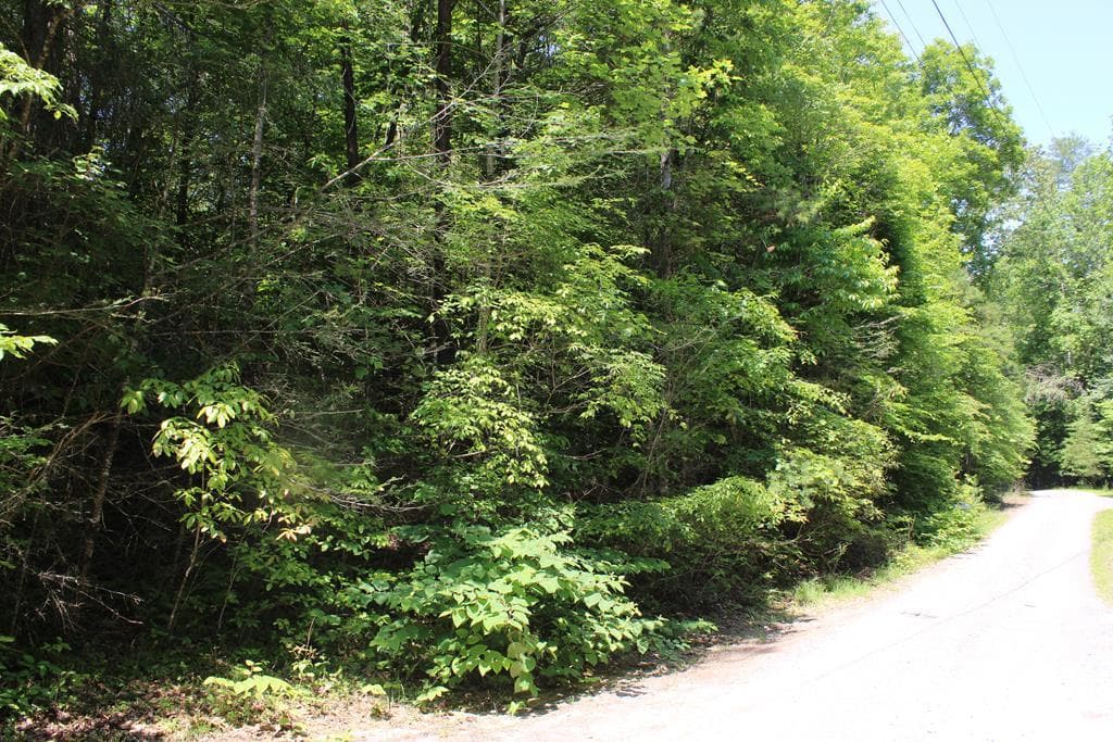 Lot #18 Sunset Road, Epworth GA 30541 - Primary photo