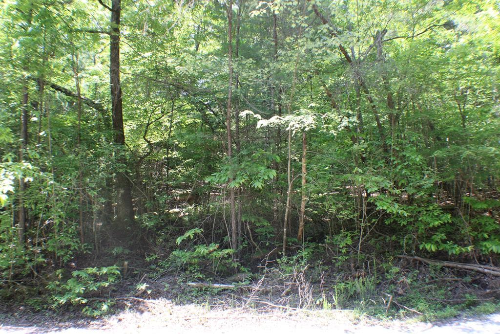 Lot #18 Sunset Road, Epworth GA 30541 - Photo