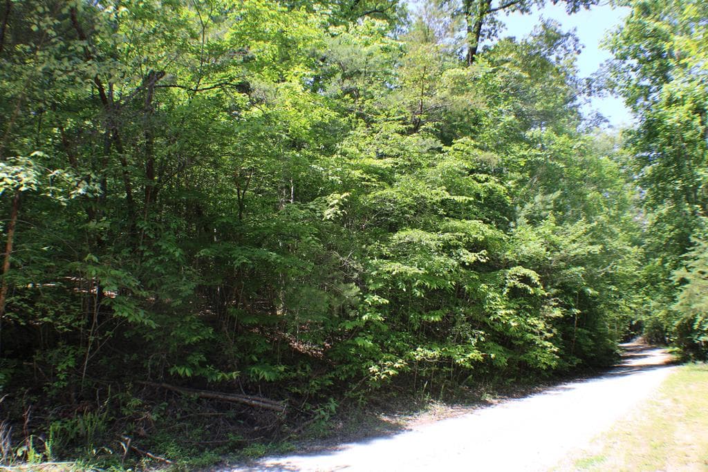 Lot #18 Sunset Road, Epworth GA 30541 - Photo