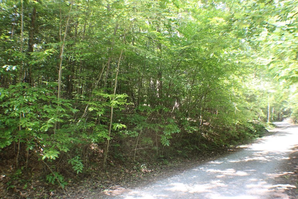 Lot #18 Sunset Road, Epworth GA 30541 - Photo