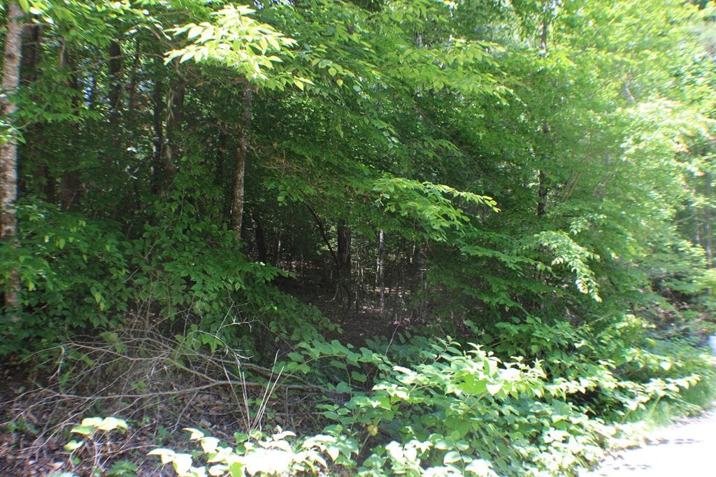 Lot #17 Sunset Road, Epworth GA 30541 - Photo