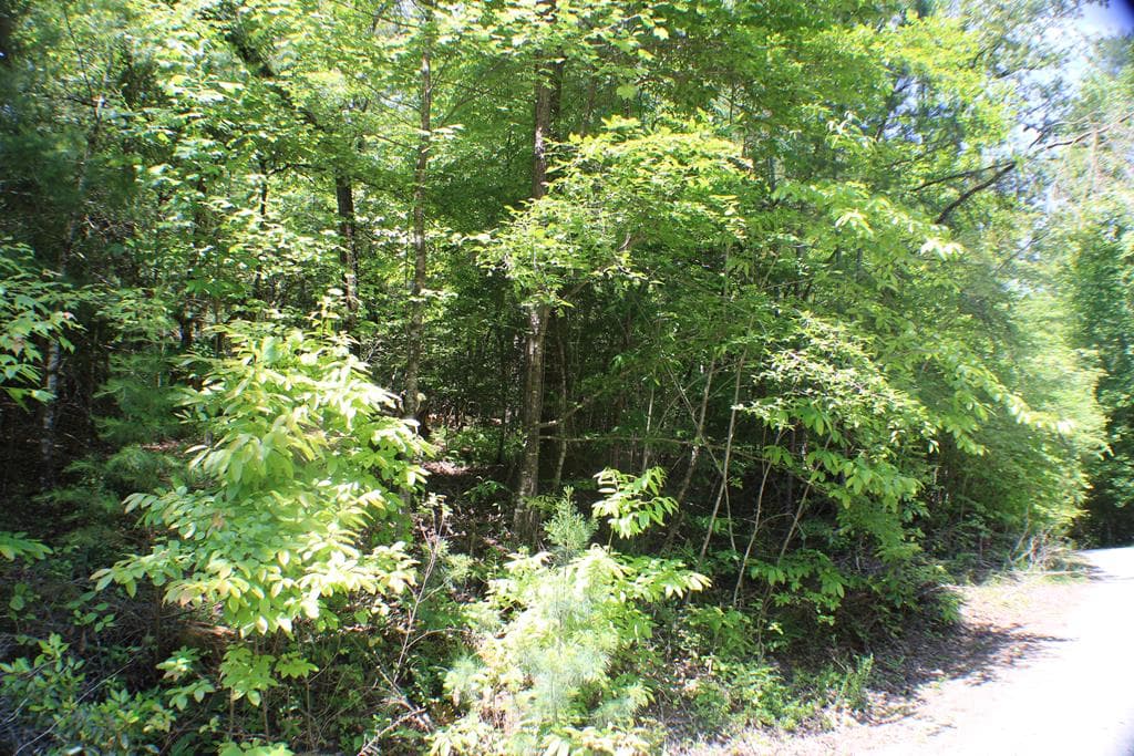 Lot #17 Sunset Road, Epworth GA 30541 - Photo
