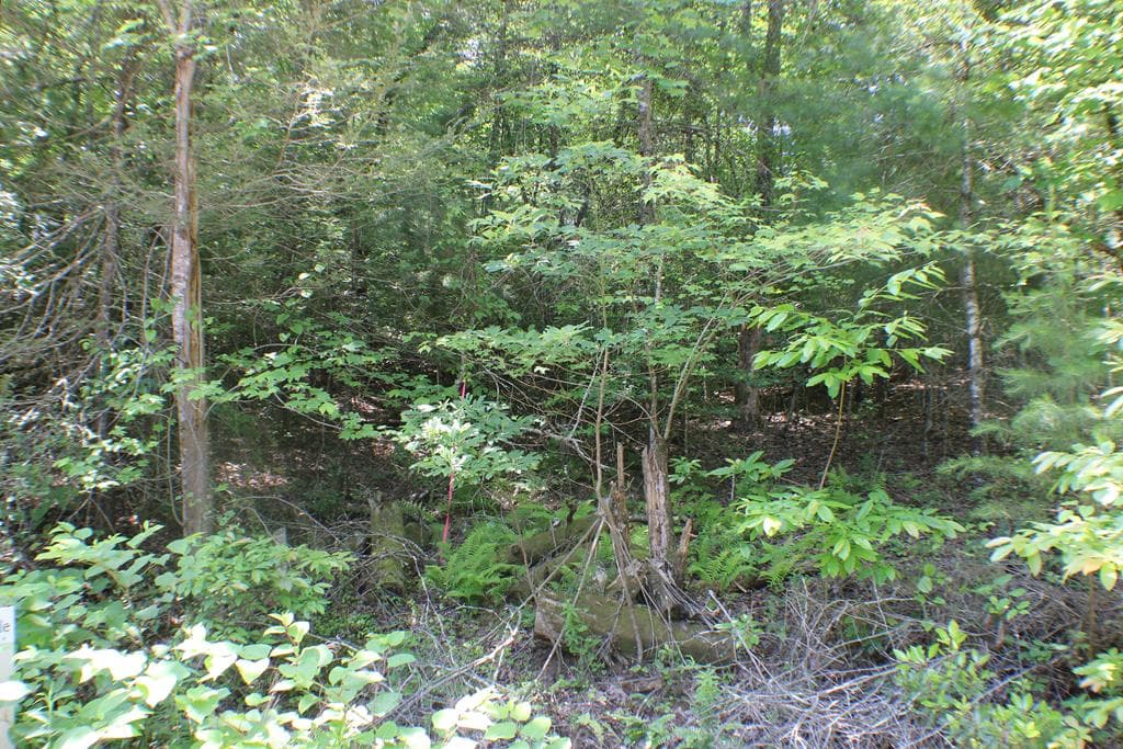 Lot #17 Sunset Road, Epworth GA 30541 - Photo