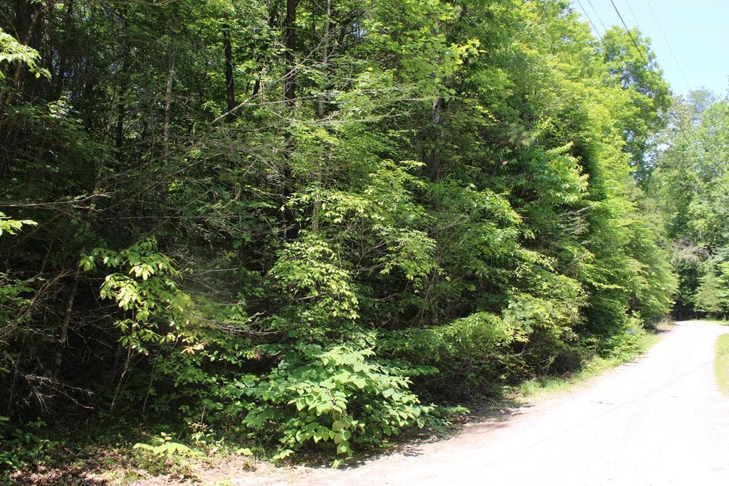 Lot #17 Sunset Road, Epworth GA 30541 - Photo