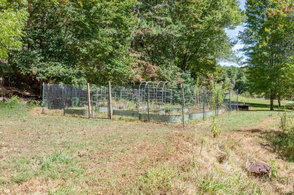 1016 Mull Road, Morganton GA 30560 - Photo