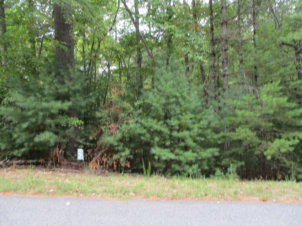 Lot 25 Byers Road, Blairsville GA 30512 - Photo