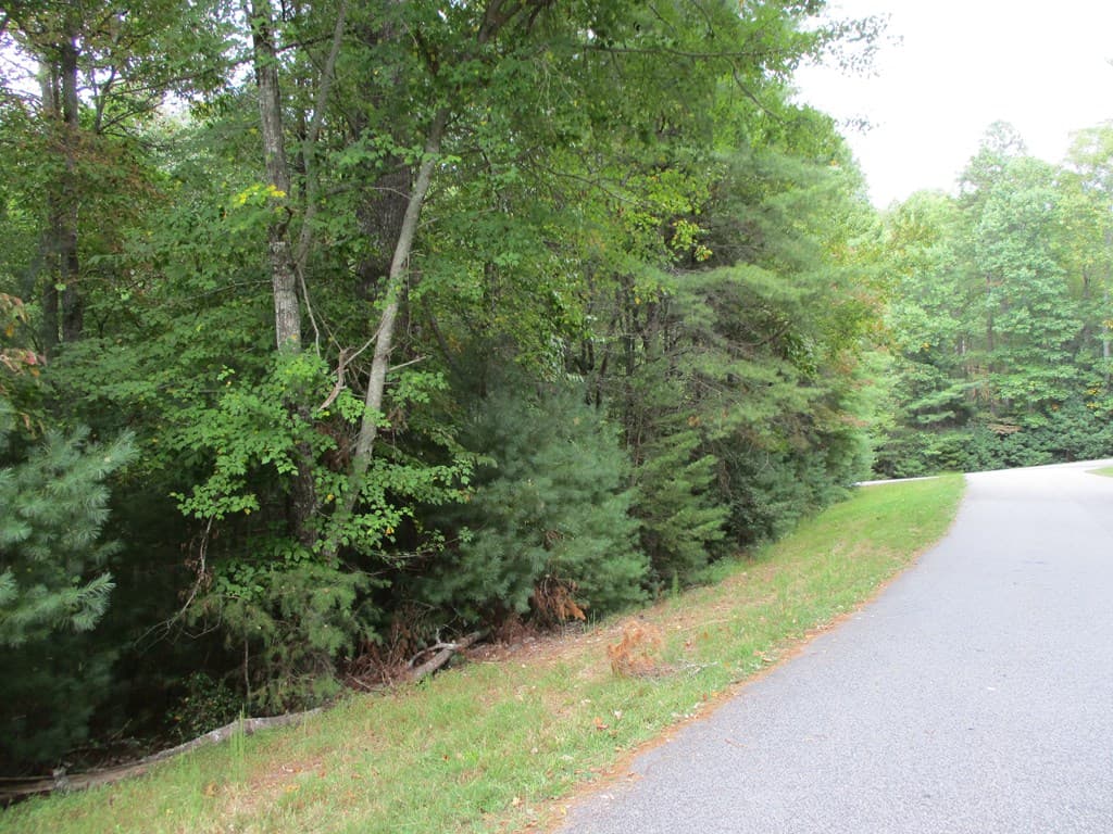 Lot 25 Byers Road, Blairsville GA 30512 - Photo