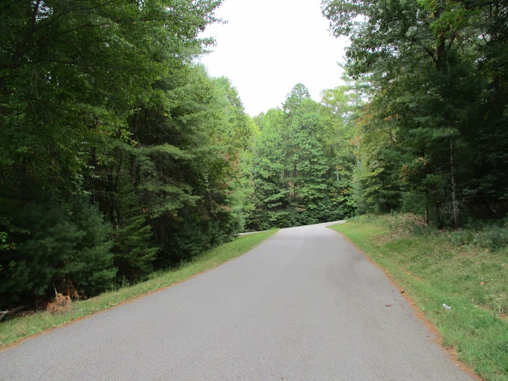 Lot 25 Byers Road, Blairsville GA 30512 - Photo