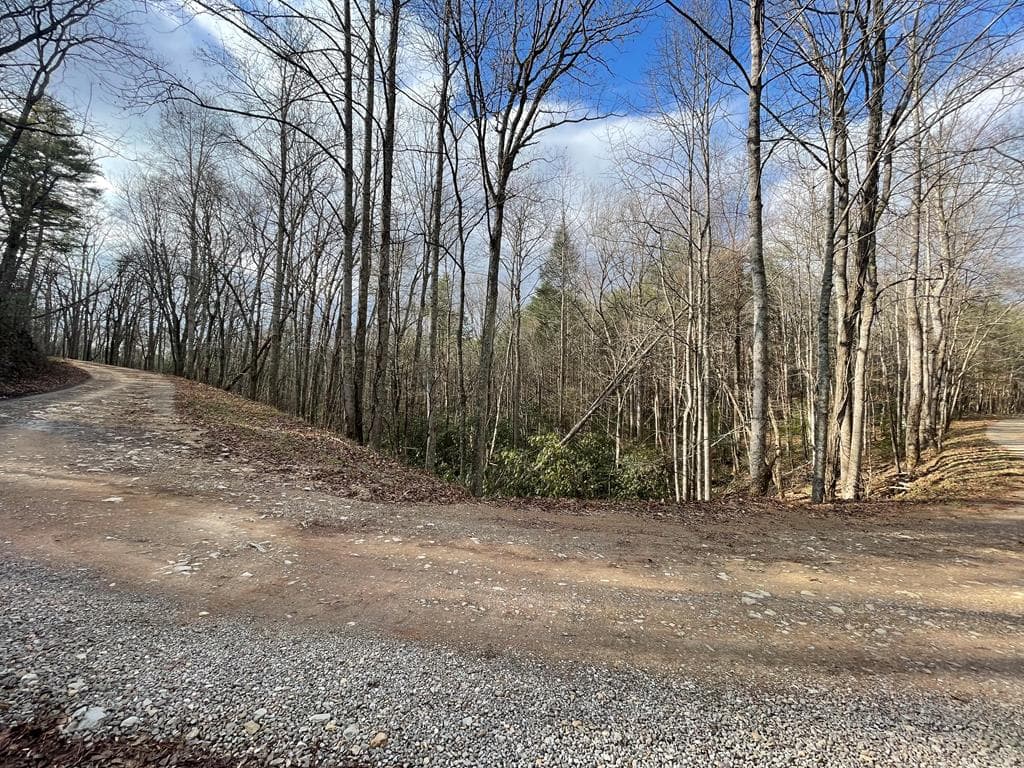 2500 Joe Brown Hwy, Tellico Plains TN 37385 - Photo