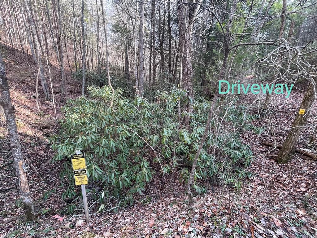 2500 Joe Brown Hwy, Tellico Plains TN 37385 - Photo