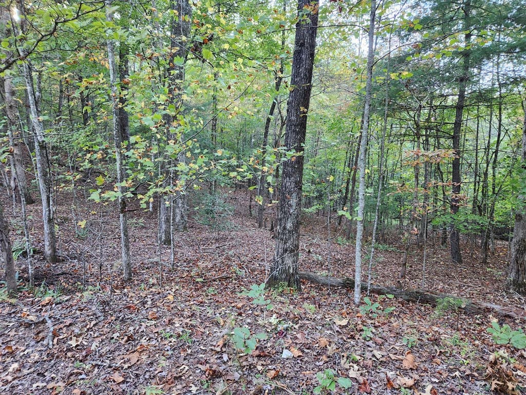 0 North View Trail, Mineral Bluff GA 30559 - Photo