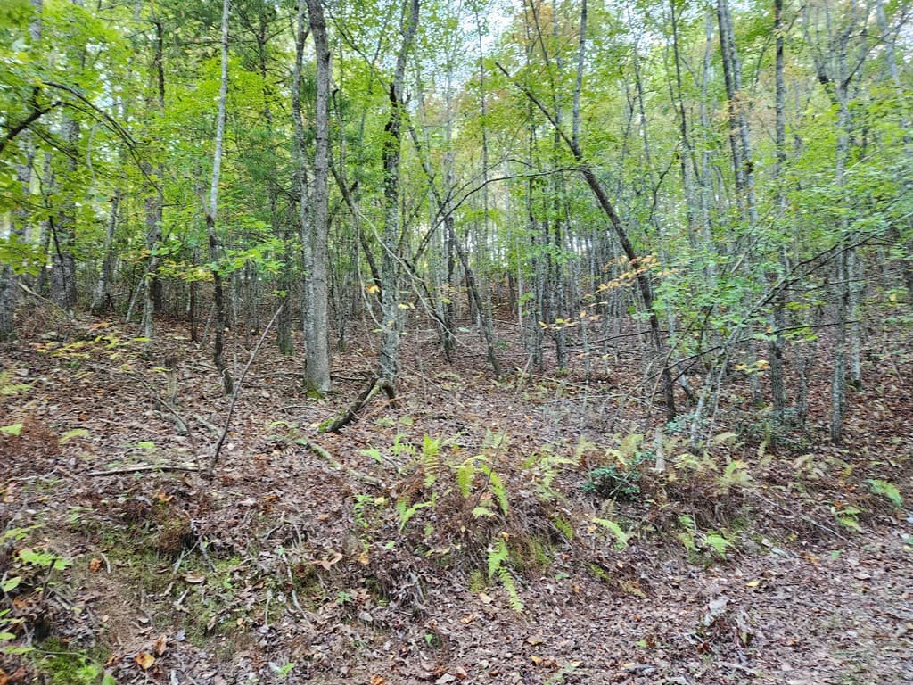 0 North View Trail, Mineral Bluff GA 30559 - Photo
