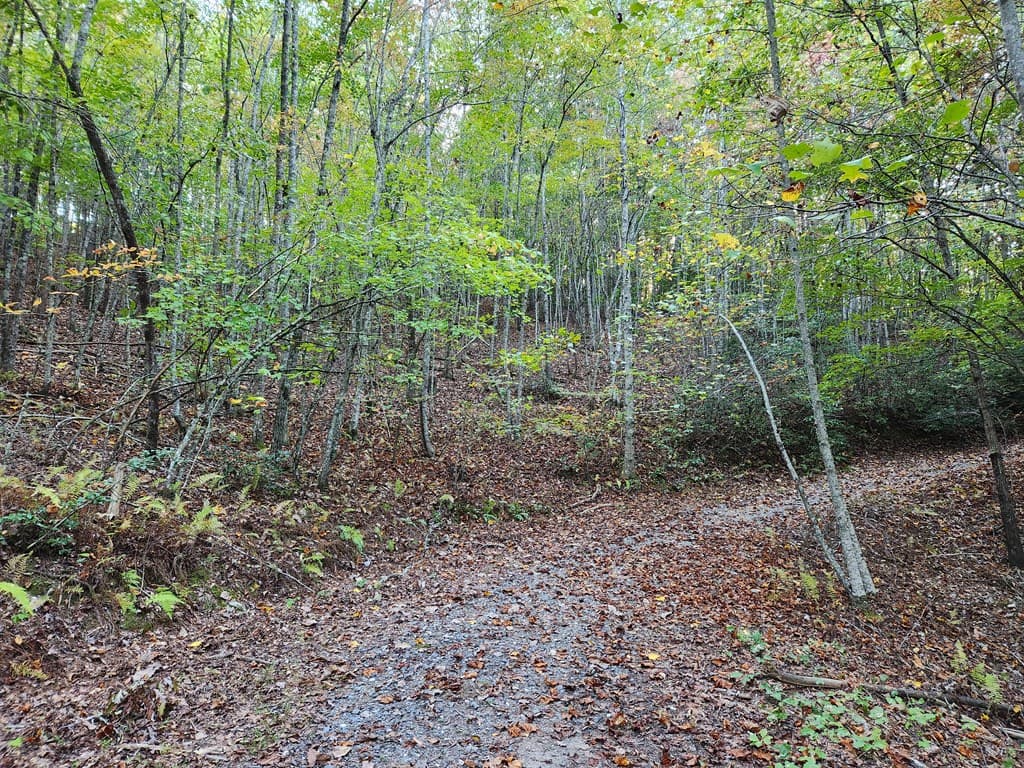 0 North View Trail, Mineral Bluff GA 30559 - Photo